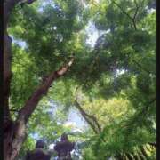 ヒメ日記 2026/06/21 09:28 投稿 彩永(さな) PLUS十三店