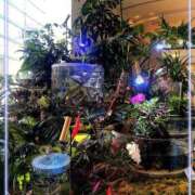 ヒメ日記 2026/07/13 20:28 投稿 彩永(さな) PLUS十三店