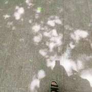 ヒメ日記 2026/07/14 13:08 投稿 彩永(さな) PLUS十三店