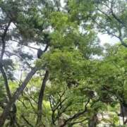 ヒメ日記 2026/09/11 11:59 投稿 彩永(さな) PLUS十三店