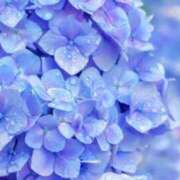 ヒメ日記 2025/06/08 18:31 投稿 なつみ AVANCE福岡