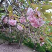 ヒメ日記 2025/05/14 10:56 投稿 みつき 太田人妻城