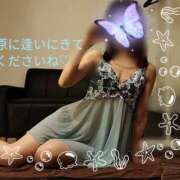 ヒメ日記 2025/07/19 07:09 投稿 椿原りこ ワイフコレクション