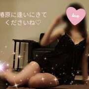 ヒメ日記 2025/09/21 08:59 投稿 椿原りこ ワイフコレクション