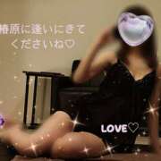 ヒメ日記 2025/09/29 08:46 投稿 椿原りこ ワイフコレクション