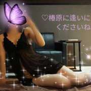 ヒメ日記 2025/10/06 08:55 投稿 椿原りこ ワイフコレクション