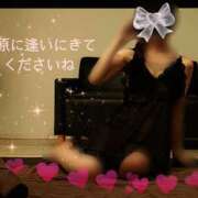 ヒメ日記 2025/10/30 07:13 投稿 椿原りこ ワイフコレクション