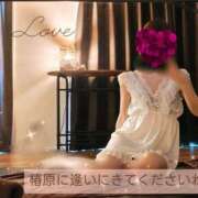 ヒメ日記 2025/12/29 09:02 投稿 椿原りこ ワイフコレクション