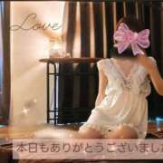 ヒメ日記 2026/01/18 23:50 投稿 椿原りこ ワイフコレクション