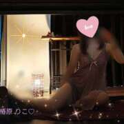 ヒメ日記 2026/02/05 08:32 投稿 椿原りこ ワイフコレクション