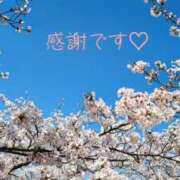 ヒメ日記 2026/04/12 09:29 投稿 椿原りこ ワイフコレクション