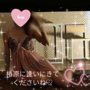ヒメ日記 2026/05/14 08:56 投稿 椿原りこ ワイフコレクション
