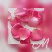 ヒメ日記 2025/06/11 11:08 投稿 みさき 山口下関ちゃんこ