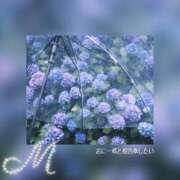 ヒメ日記 2025/06/25 13:45 投稿 みさき 山口下関ちゃんこ