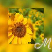 ヒメ日記 2025/07/02 18:07 投稿 みさき 山口下関ちゃんこ