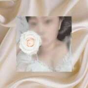 ヒメ日記 2025/08/26 17:33 投稿 みさき 山口下関ちゃんこ