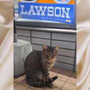 ヒメ日記 2025/10/28 22:34 投稿 みさき 山口下関ちゃんこ