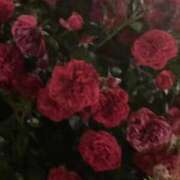 宮下(みやした) いまなら 八王子人妻城