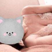 ヒメ日記 2026/04/25 06:31 投稿 ハルカ COCOMERO（ココメロ）
