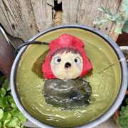 ヒメ日記 2026/09/12 10:05 投稿 Suzuna(すずな） AMATERAS(アマテラス)(福山)