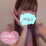 ヒメ日記 2025/06/13 19:09 投稿 ゆうき アネックスジャパン