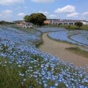 ヒメ日記 2026/06/08 08:25 投稿 ことね R（アール）