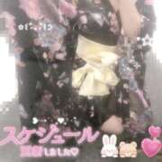 ヒメ日記 2025/12/05 14:24 投稿 あおい いざ候 別館