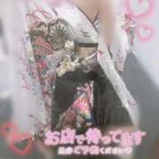 ヒメ日記 2026/01/11 10:24 投稿 あおい いざ候 別館