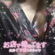 ヒメ日記 2026/02/28 12:24 投稿 あおい いざ候 別館