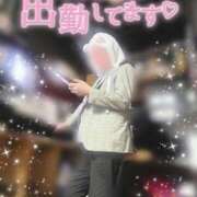 ヒメ日記 2026/03/25 12:49 投稿 あおい いざ候 別館