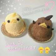 ヒメ日記 2026/03/29 10:24 投稿 あおい いざ候 別館