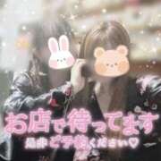 ヒメ日記 2026/04/10 14:04 投稿 あおい いざ候 別館