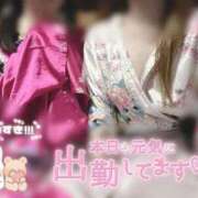 ヒメ日記 2026/04/20 15:44 投稿 あおい いざ候 別館
