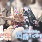 ヒメ日記 2026/04/22 17:34 投稿 あおい いざ候 別館