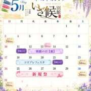 ヒメ日記 2026/05/03 07:04 投稿 あおい いざ候 別館