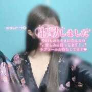 ヒメ日記 2026/05/16 12:47 投稿 あおい いざ候 別館