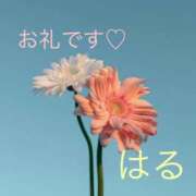 ヒメ日記 2025/05/14 22:45 投稿 柊はる プルデリR40