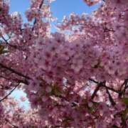 ヒメ日記 2026/03/12 19:28 投稿 柊はる プルデリR40滋賀店