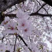 ヒメ日記 2026/04/08 09:12 投稿 柊はる プルデリR40滋賀店