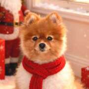 ヒメ日記 2026/01/04 14:25 投稿 みわ ハピネス＆ドリーム 松山道後温泉