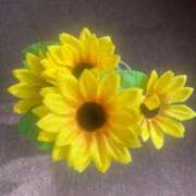 ヒメ日記 2025/06/03 08:55 投稿 松本紗栄 三丁目の奥様（東京ハレ系）