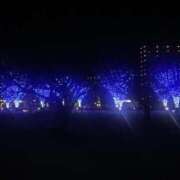 ヒメ日記 2025/11/28 19:08 投稿 松本紗栄 三丁目の奥様（東京ハレ系）