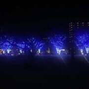 ヒメ日記 2026/03/14 14:06 投稿 松本紗栄 三丁目の奥様（東京ハレ系）