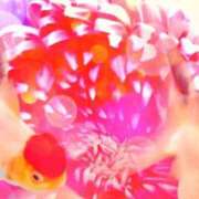 じゅら こんにちは。 熟女の風俗最終章 沼津店