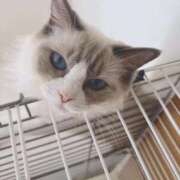 じゅら おはようございます。 熟女の風俗最終章 沼津店