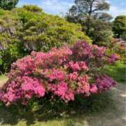 ヒメ日記 2025/06/19 14:43 投稿 なごみ 逢って30秒で即尺