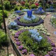 ヒメ日記 2025/07/16 06:52 投稿 なごみ 逢って30秒で即尺