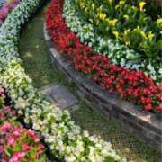 ヒメ日記 2025/08/05 06:55 投稿 なごみ 逢って30秒で即尺