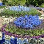 ヒメ日記 2025/09/18 08:00 投稿 なごみ 逢って30秒で即尺