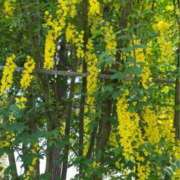 ヒメ日記 2025/09/19 22:28 投稿 なごみ 逢って30秒で即尺